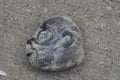 Rock #1